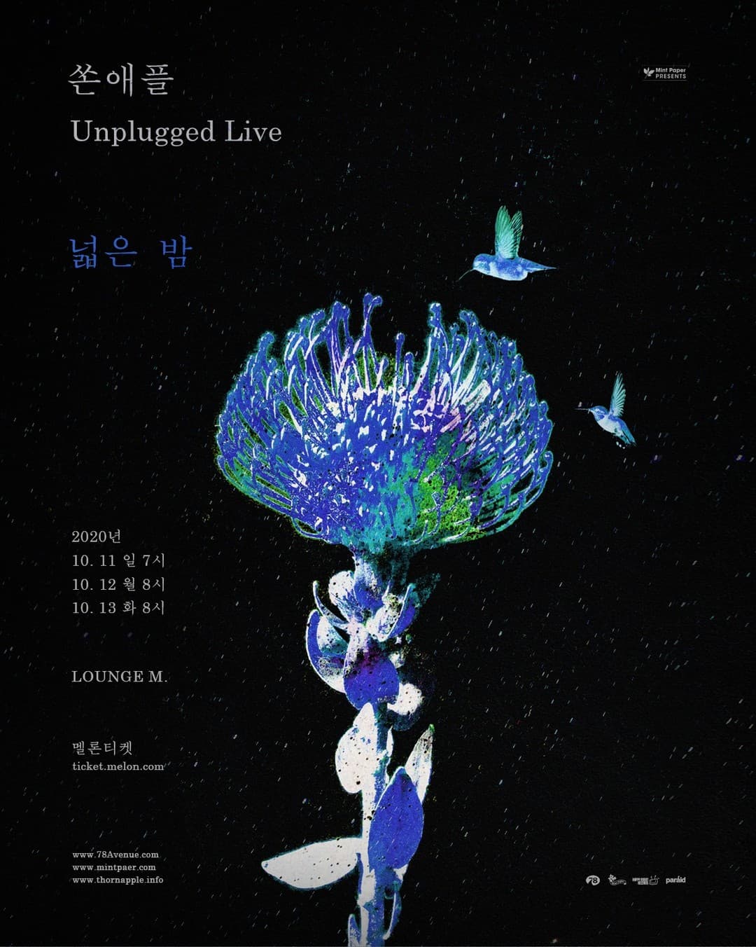 단독 콘서트 <넓은 밤>